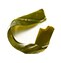 Laminaria saccharina