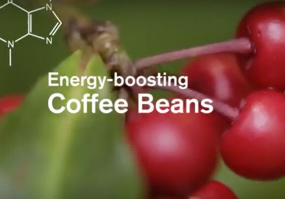 Click on video to demonstrates about discover ginzing energy boosters from coffee beans