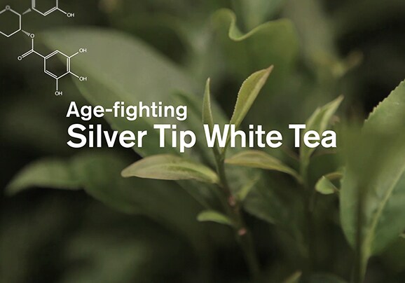 Click on video to demonstrates about discover a perfect world skin protectors using silver tip white tea