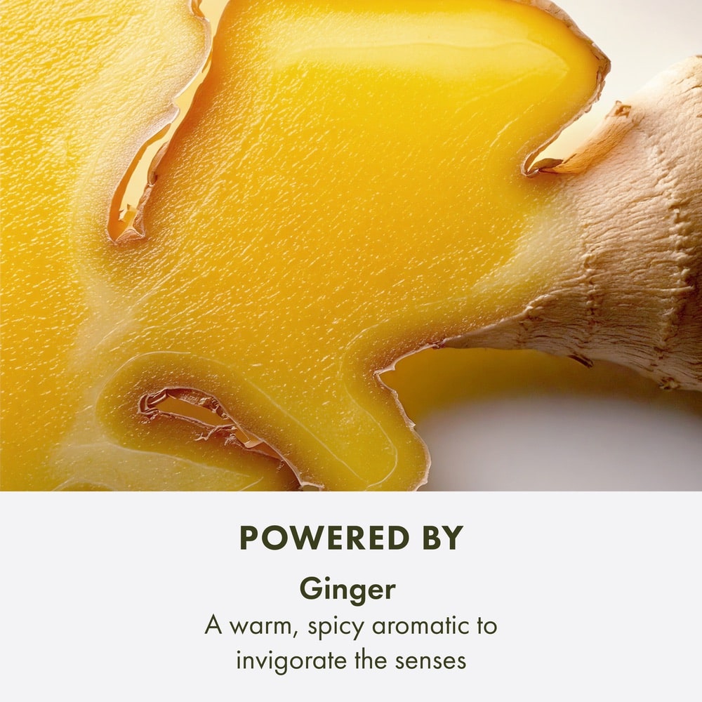 Ginger Essence&#8482;
