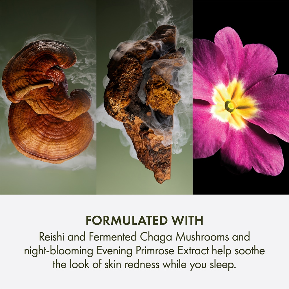 Dr. Weil For Origins™ Mega-Mushroom
