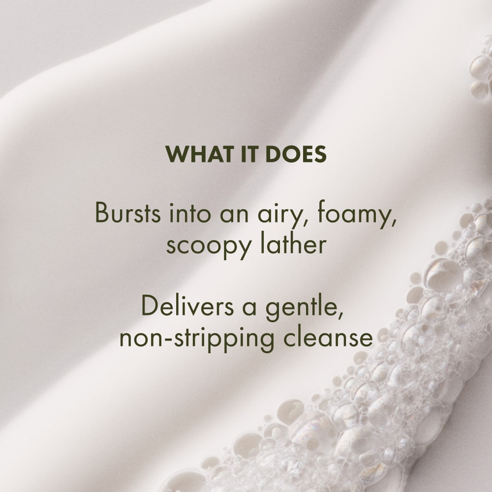 Checks and Balances™ Gentle Foaming Face Wash