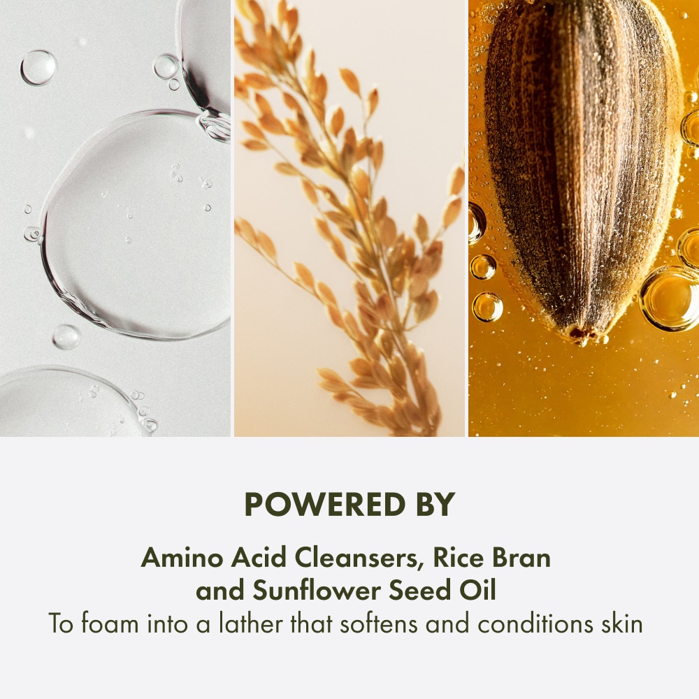 Checks and Balances™ Gentle Foaming Face Wash