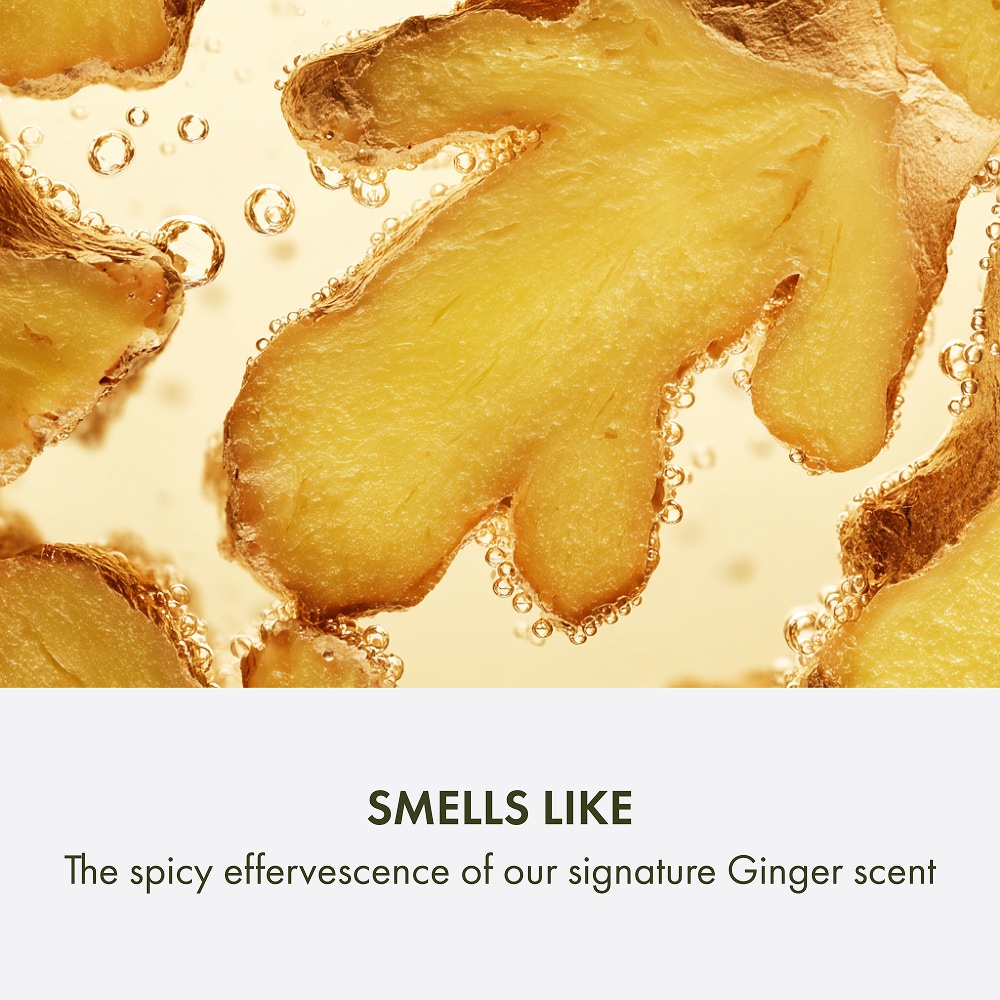 Ginger